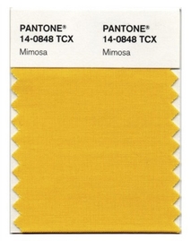 Pantone 14-0848, Mimosa