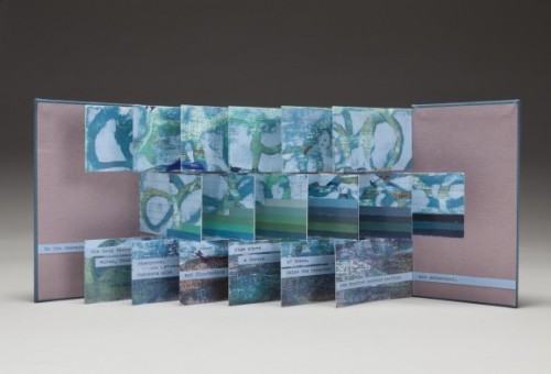 Lisa Onstad’s Submerged