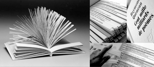 Hundred Thousand Billion Poems
