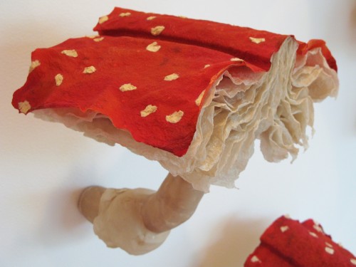Melissa Jay Craig’s mushroom book installation
