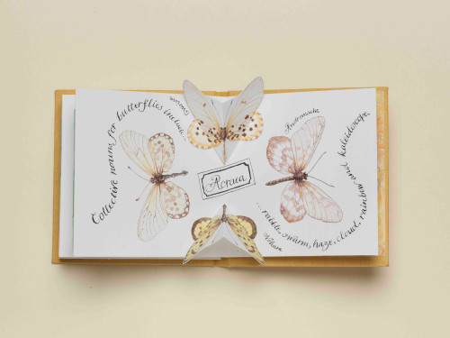 Carol Kearn's butterfly book